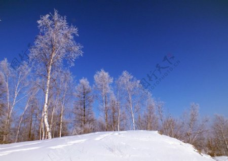 冬天的五峰山风景图片