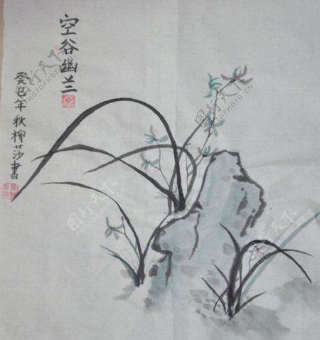 中国画兰花图片