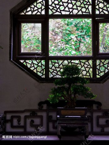 园林花窗下的盆景图片