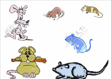 卡通矢量老鼠图片