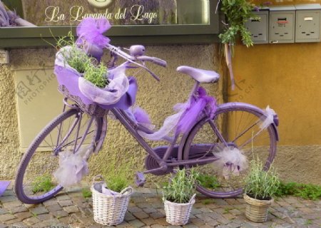 紫色纱单车图片