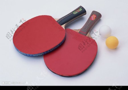乒乓球图片