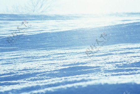 冰天雪地图片