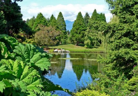 温哥华范渡森植物园图片