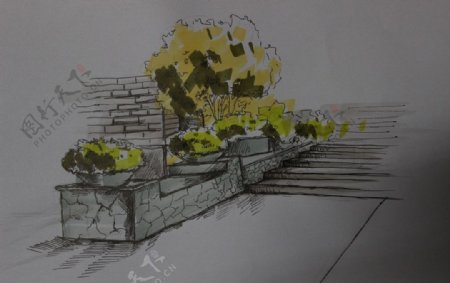 手绘植物台阶图片