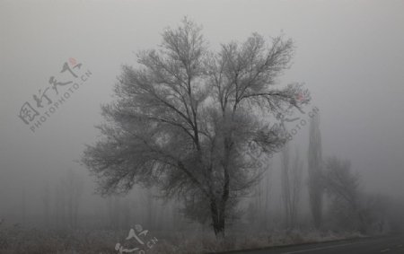 大雾来袭图片