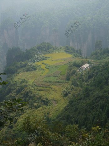 天子山空中田园图片