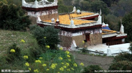 多彩的藏寨图片