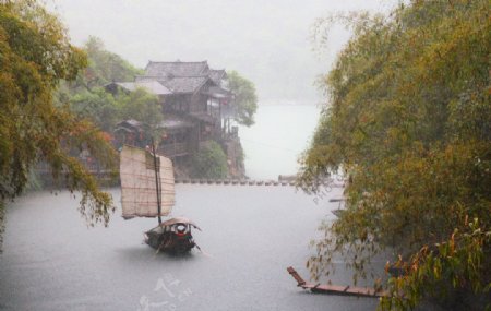 雨中小景图片