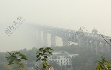 通向迷雾的桥面图片