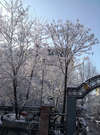 朝阳雪景图片