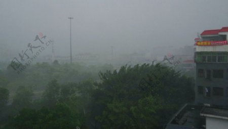 暴雨景观图片