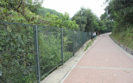 公园防护栏图片