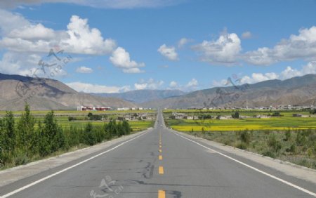 笔直道路图片