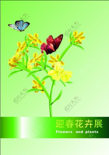 花卉展图片