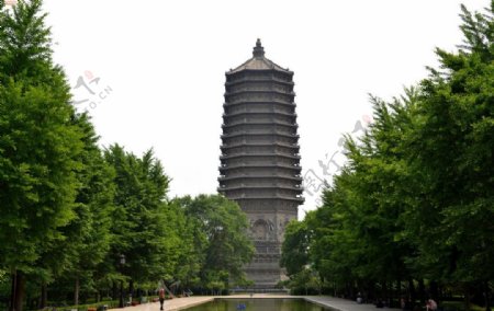 北京慈寿寺塔图片