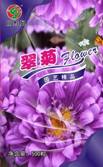 花卉小包装图片