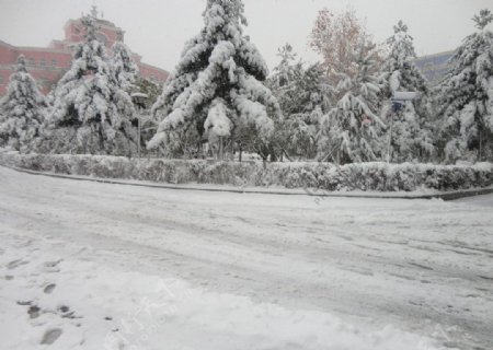 雪中的道路图片