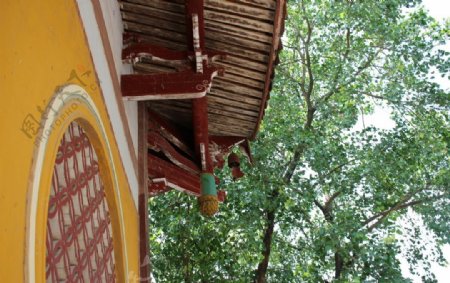 南山广化寺图片