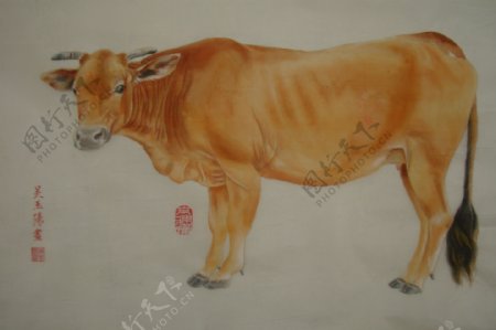 吴玉阳工笔画牛图片