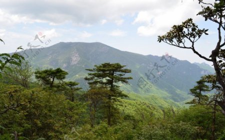 沣峪分水岭图片