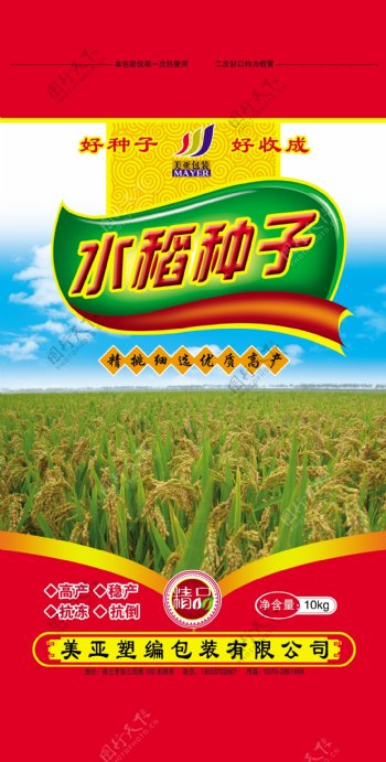 水稻种子图片