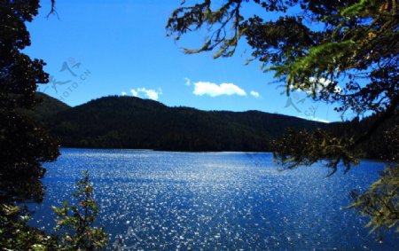 普达措森林公园湖泊图片
