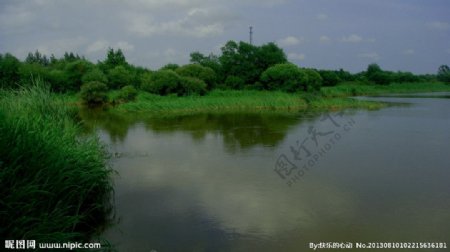 原生态湿地图片