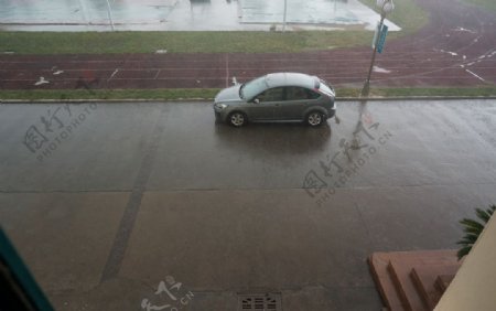 雨中福克斯图片