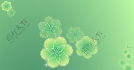 绿色花朵背景图图片