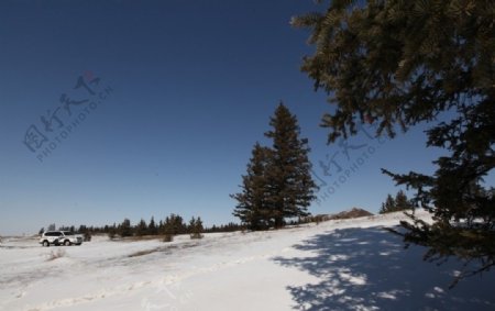 林海雪原图片