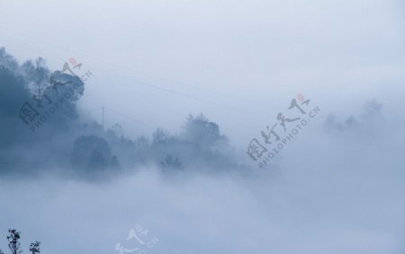 晨雾图片