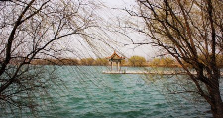 黛湖之春图片
