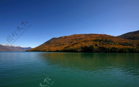 新疆喀纳斯湖图片