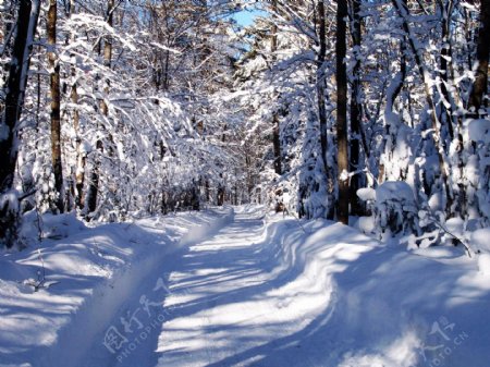 冬季原野大雪图片
