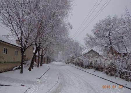 雪后的镇图片
