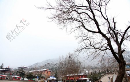 石岛赤山雪景图片