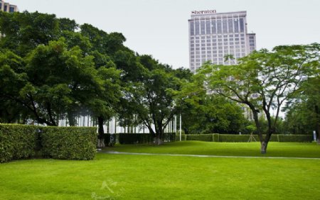 岐江公园草坪图片