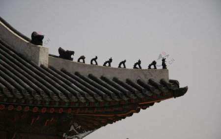韩国景福宫的屋檐图片