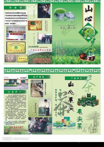 绿茶画册设计图片