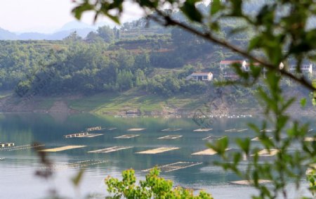 瀛湖风景图片