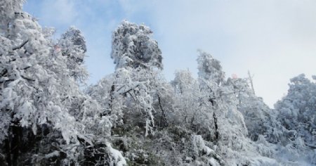 梦幻景色图片