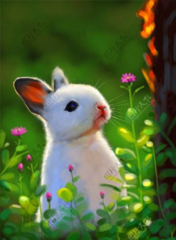 手绘春天的兔子图片