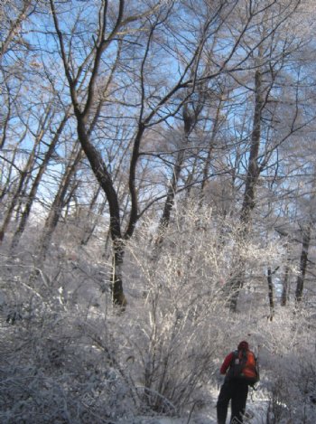 崂山冬季图片