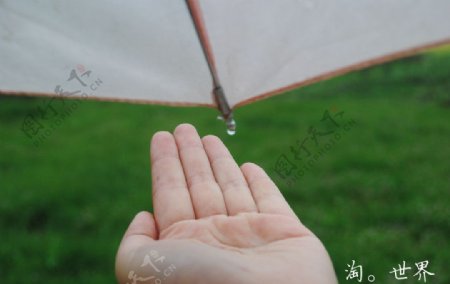 手和雨伞图片