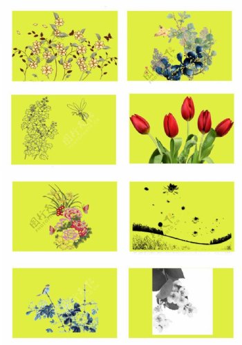 花卉设计素材图片
