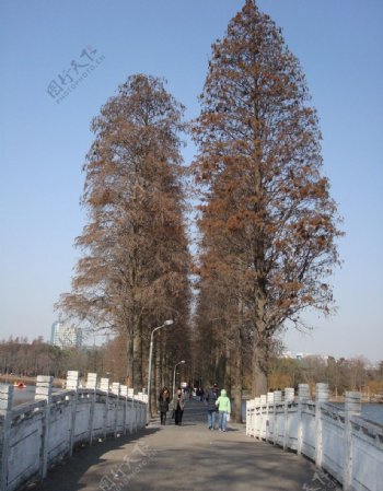 东湖风景图片