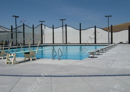豪华别墅里的游泳池图片
