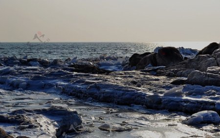 北戴河的冬天图片