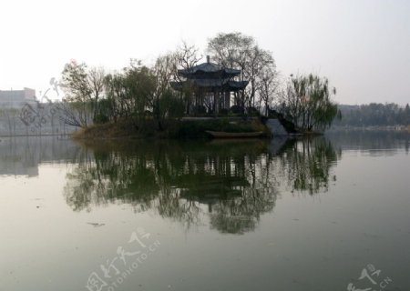 天津长虹生态园图片